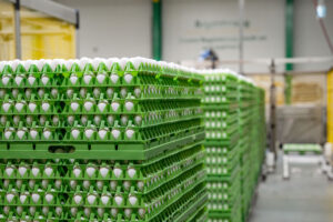 Kooperation für praxisnahe Abschlussarbeit